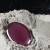 IMG_5049.jpeg
